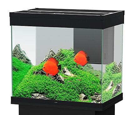 Kit pompe à air Igloo 200 - pour aquarium de 100 à 200L - noir