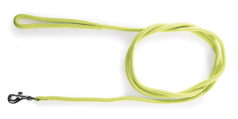 MARTIN SELLIER Laisse nyl rond 2m vert 