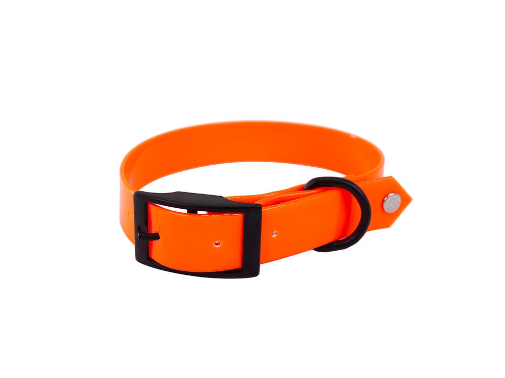 MARTIN SELLIER Collier pour chien fluo chasse 