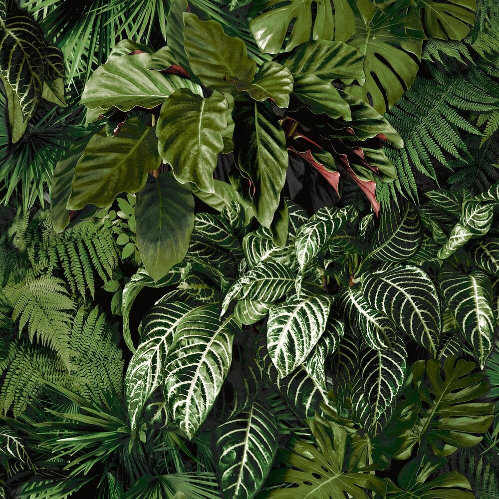 Papier peint vinyle intissé Living Wall