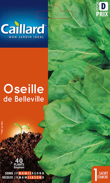 Graines d'Oseille des prés - Graines pour micropousses, poivres et épices