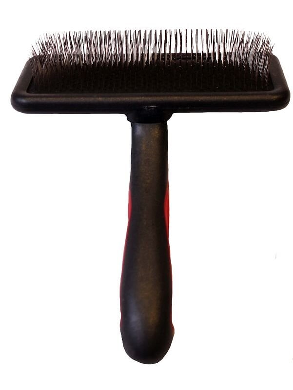 MARTIN - Brosse carde chat gm - large