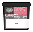 THEODORE - Peinture Chambres & Séjours acryl mat 750ML, teinte Blanc - vignette