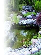 Fontaine de cascade de fleurs de piscine réglable, dispositif d'arrosage  extérieur hors sol creusé, accessoires de piscine