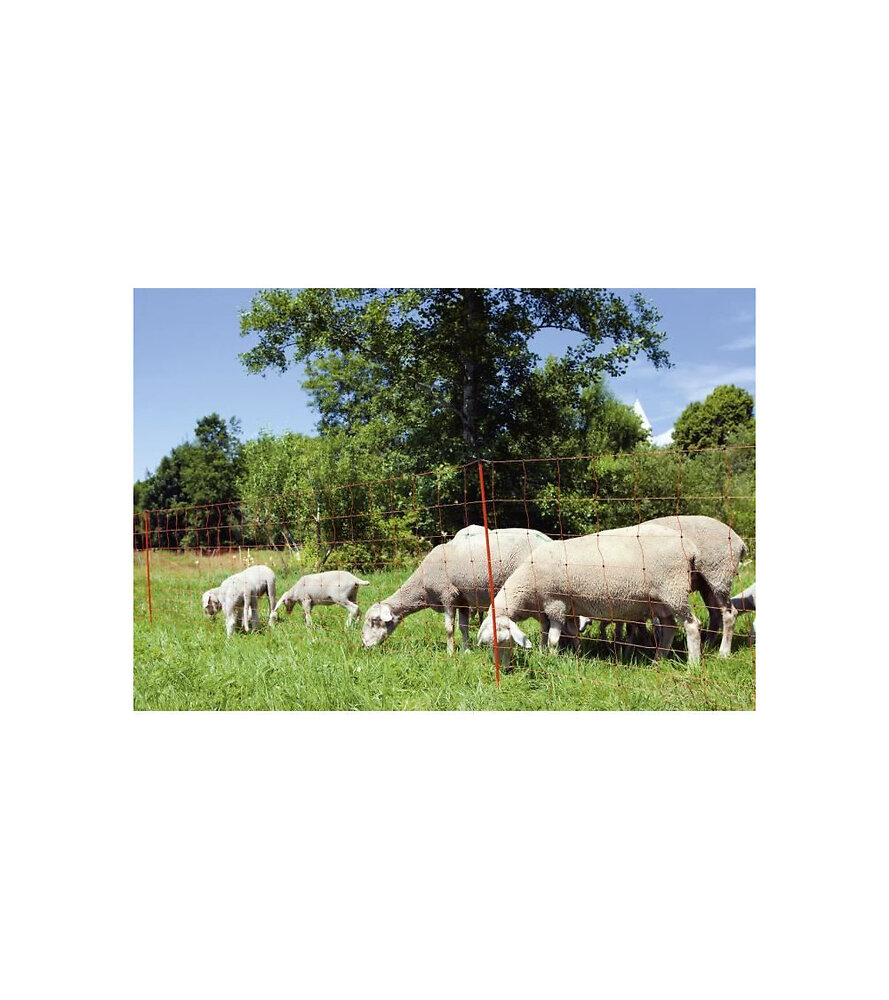 KERBL - Kerbl Filet Pour Moutons Ovinet 90 Cm 27251 - large