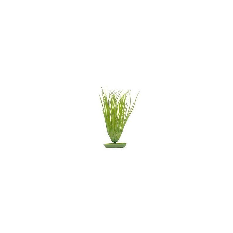 AQUA - AQUA Plantes artificielles Marina Hairgrass 12,5 cm - Plastiques - Vertes - Pour aquarium - large