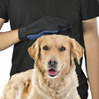 MONACO PETS - Gant de brossage, toilettage pour poils d'animaux, chat et chien, bleu, main droite Monaco Pets - vignette