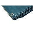 TECPLAST - Bâche plastique 6x10 m bleue et verte 150g/m² - bâche de protection polyéthylène - vignette