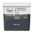THEODORE - Peinture Chambres & Séjours acryl satin 750ML, teinte RAL7016 - vignette