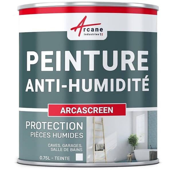 Anti moisissure mur salle de bain produit nettoyant - 1 L - ARCANE
