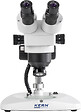 KERN SOHN - Microscope stéréo à zoom OZL-44, binoculaire WF 10x/Ø 20.0 mm Zoom 0,75x – 3,6x OZL 445 Kern sohn - vignette