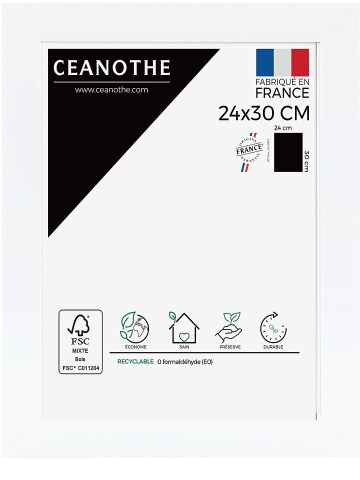 CEANOTHE - Cadre 24X30 Eternel blanc - large