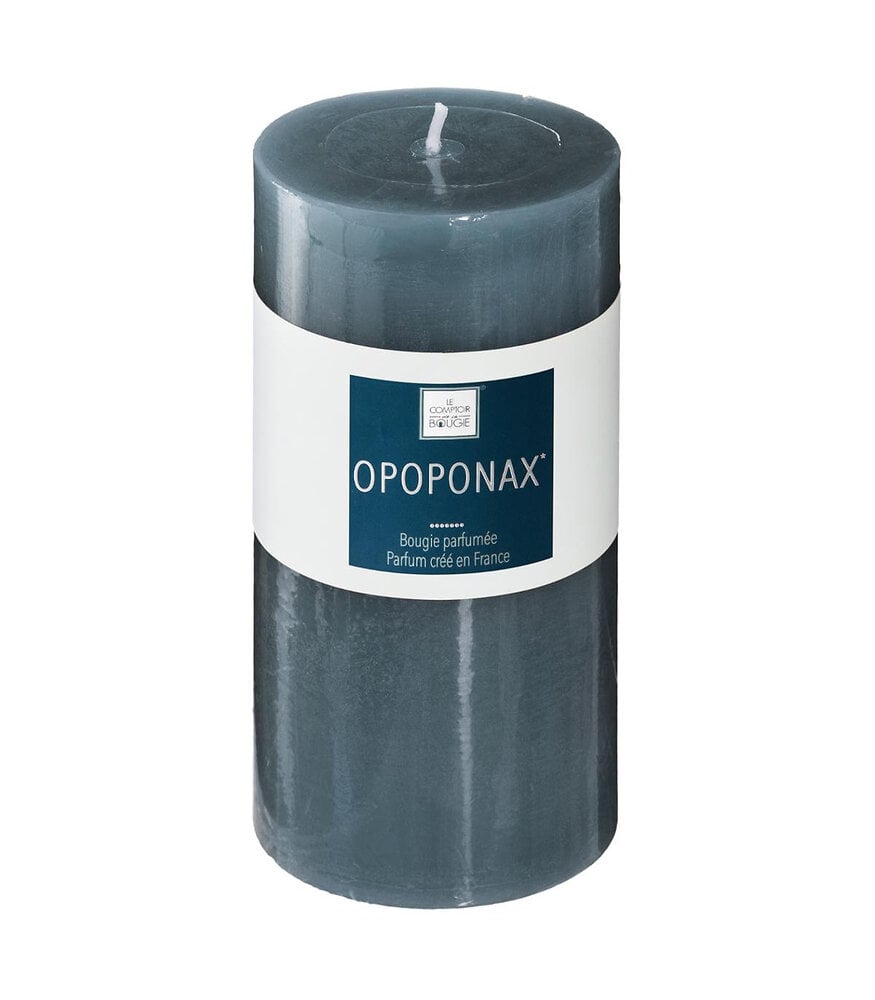 ATMOSPHERA - Bougie parfumée Opoponax H 14 cm - large