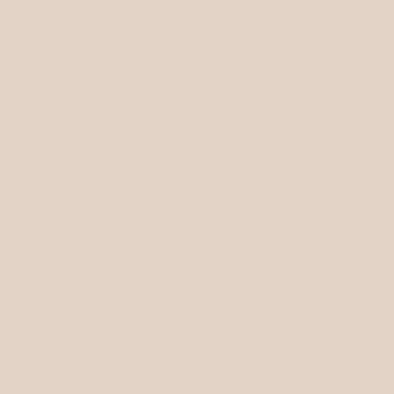 ARCANE INDUSTRIES - Badigeon à la chaux intérieur extérieur - BADIPLUS - kit de 20 kg : jusqu'à 100 m² CALVI Beige rosé - ARCANE INDUSTRIES - large