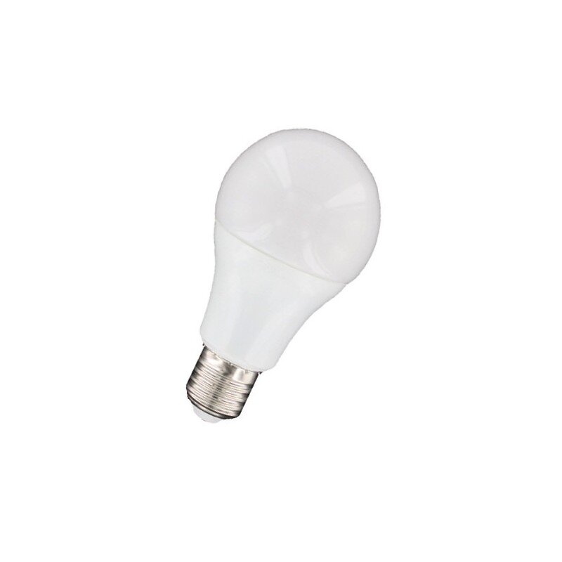 lampe led 10w - e27 globe standard - 810 lumens