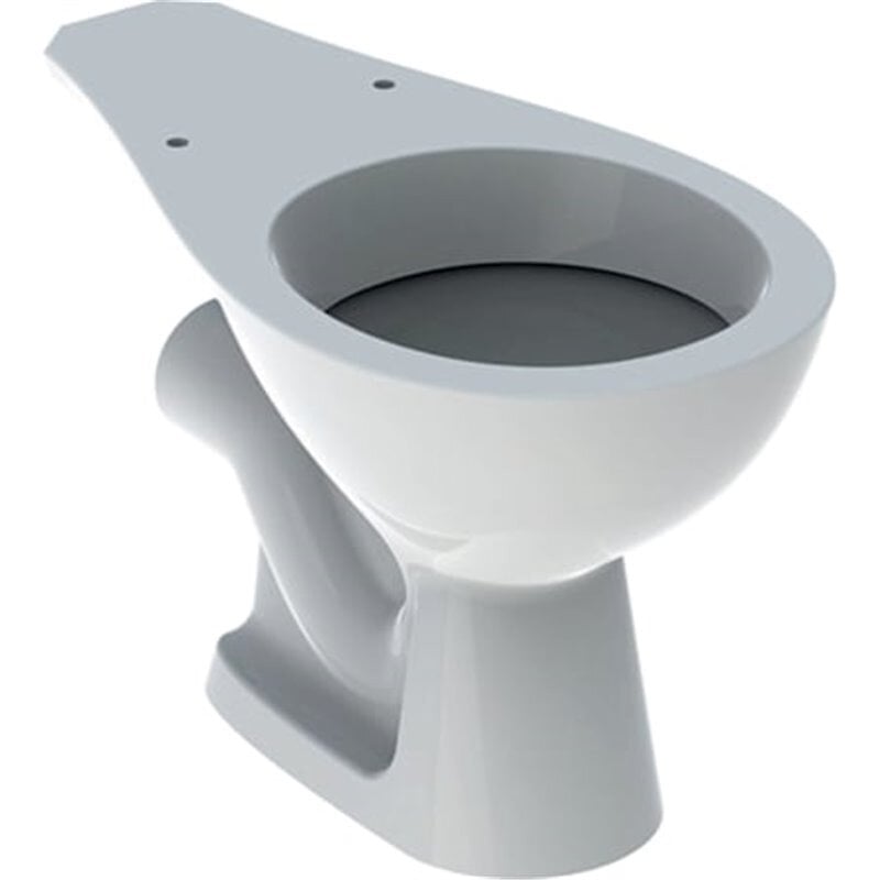 WC enfant cuvette suspendue publica Geberit