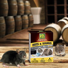 KB Home Defense répulsif à ultrasons 220 m² - contre les rats et les souris