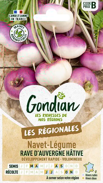 Navet-Légume Rave d'Auvergne Hâtive Gondian | Bricomarché