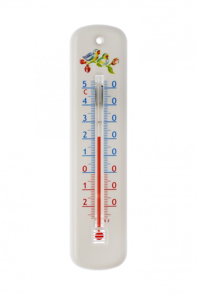 TalkJoy Thermomètre d'ambiance parlant - Mesure et annonce les températures  intérieures et extérieures (gel, augmentation de chaleur,etc.) - Pour  personnes malvoyantes : : Jardin