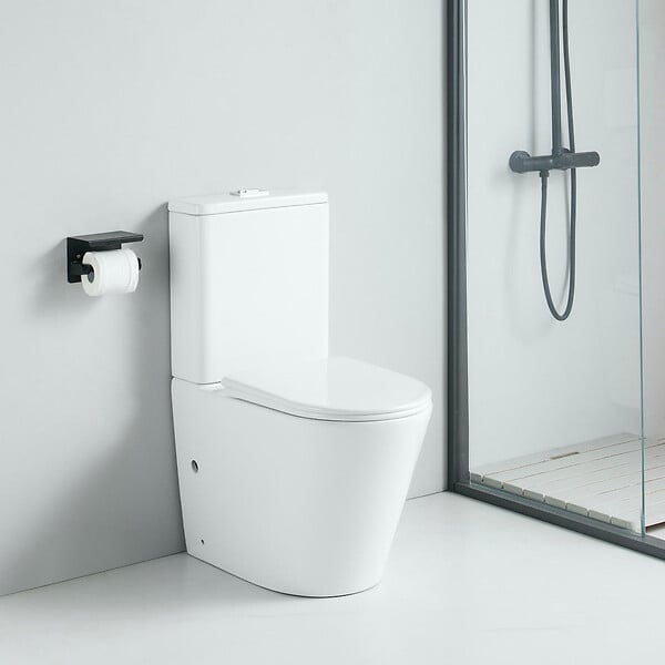 WIRQUIN Plaque de commande wc suspendu 3/6L DESIGN blanc brillant