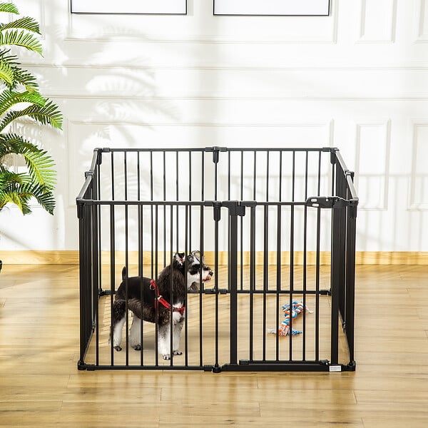 Porte barrière et rampe pour chien Trixie Rampe pour chien avec