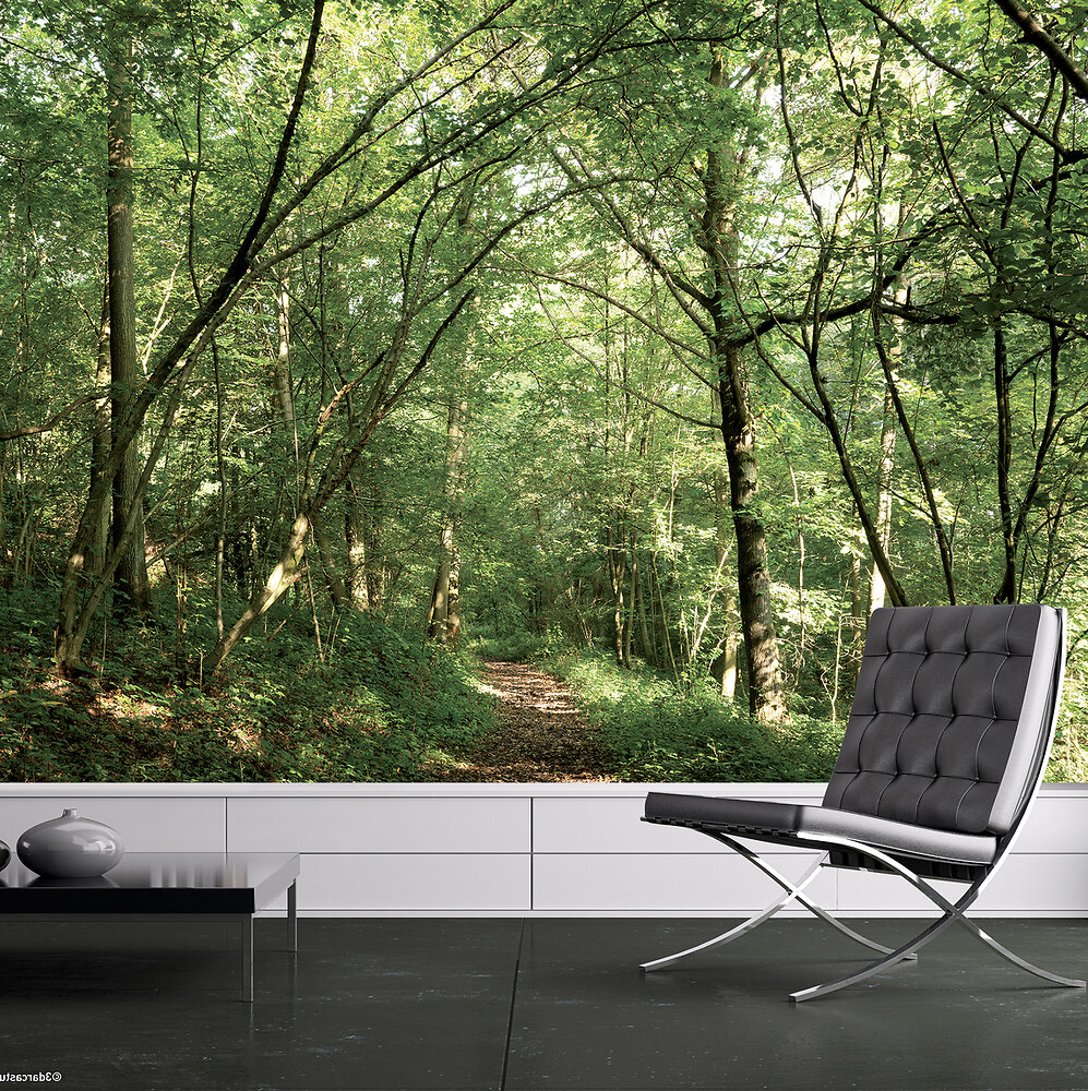 Papier peint panoramique intissé, vue sur la forêt, la verdure, la