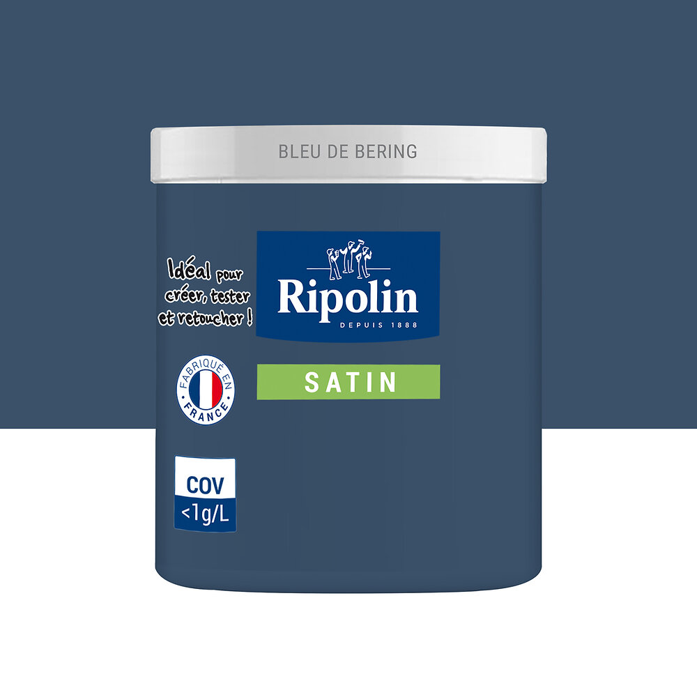 Testeur Peinture Ripolin Esprit D Co Bleu De B Ring Ml Bricorama