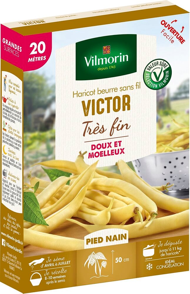VILMORIN - Haricot beurre victor 20m - large