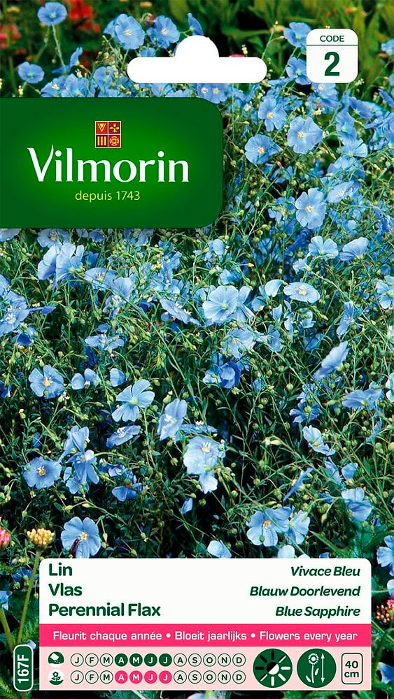 VILMORIN - Lin vivace bleu - large