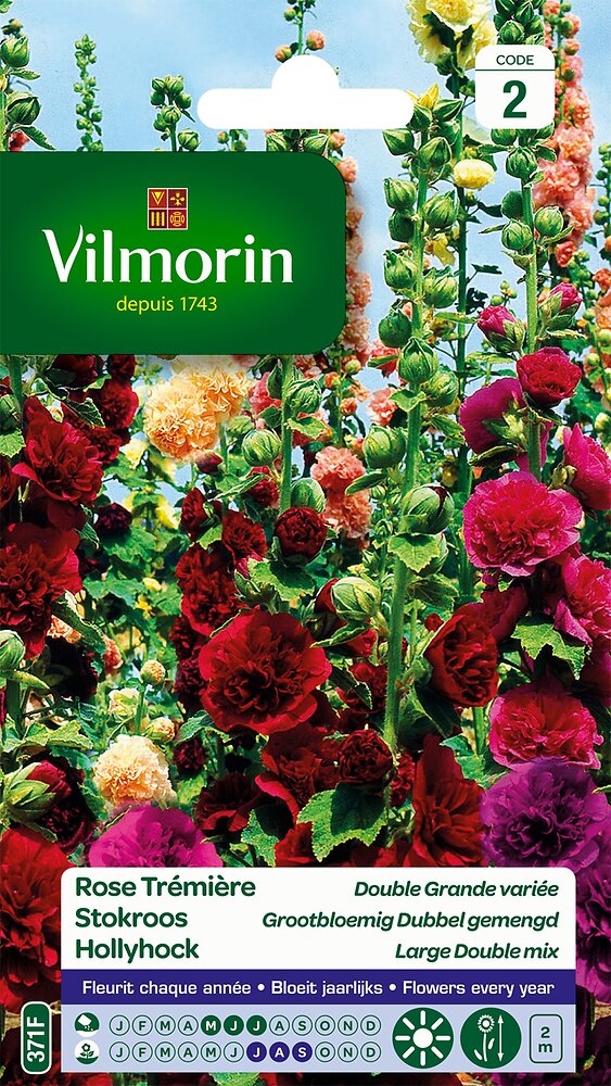 VILMORIN - Rose trémière double grande varié - large