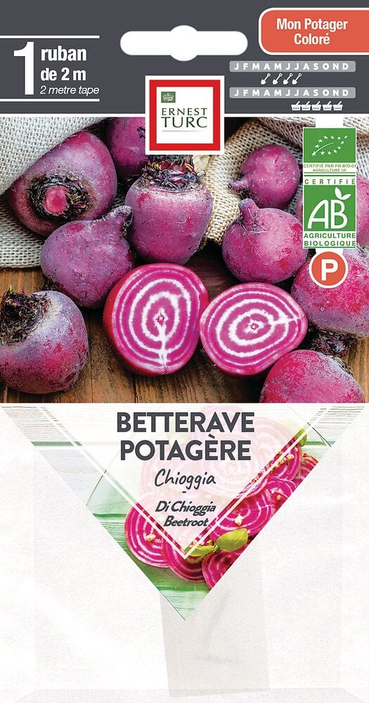 Semences+de+betterave+chioggia+bio+presemes+1+ruban+de+2m