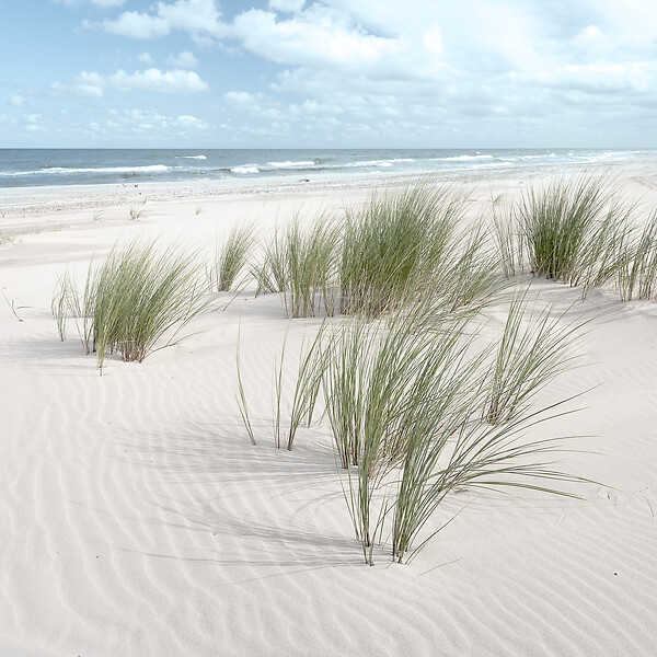 CEANOTHE - Glassart 30X30 Sandy Beach 2 - large