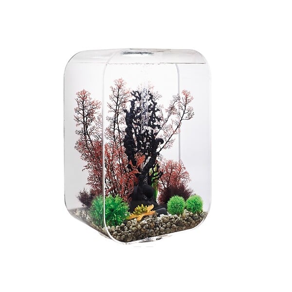 500g Aquarium Fish Tank Filtre Média Anneaux En Céramique Charbon Actif Bio  Boules Eau Claire Avec Sac Filet Gratuit - Temu Belgium