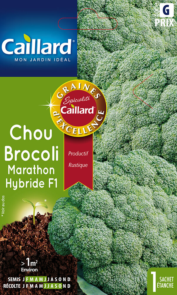 CAILLARD - Chou brocoli Marathon Hybride - large