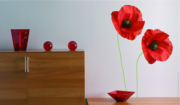 Achat lot de 2 Pots de fleurs muraux motifs Rouges pas cher