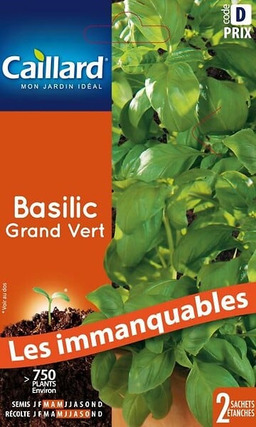 Graines de basilic grand'vert en sachet Vilmorin