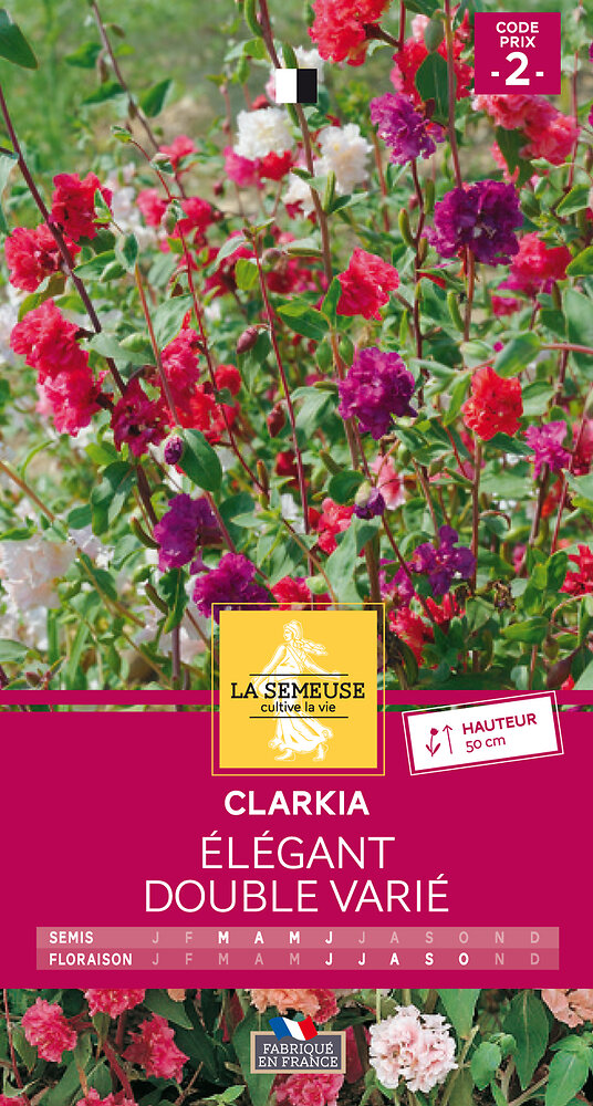 LA SEMEUSE - Clarkia élegant double varié - large