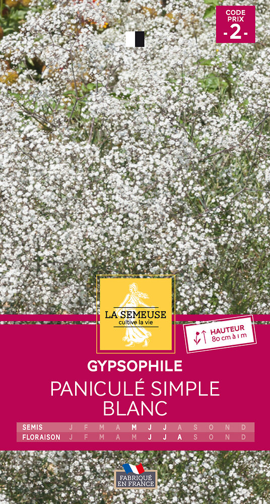 Gypsophile panicule blanc | Bricomarché