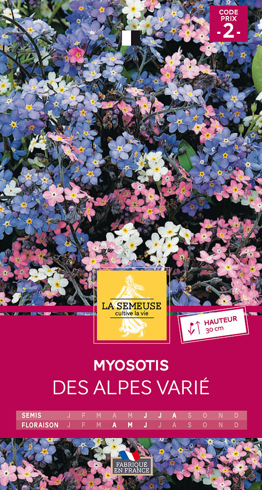 LA SEMEUSE - Myosotis des Alpes varié - large
