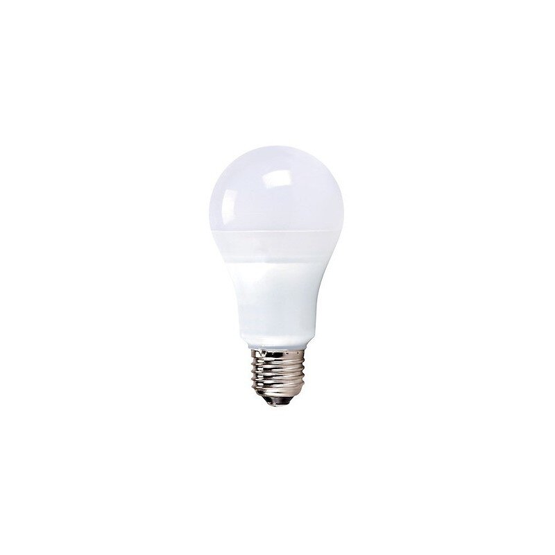 Ampoule LED 55W E27 8U 6500K verre mat.