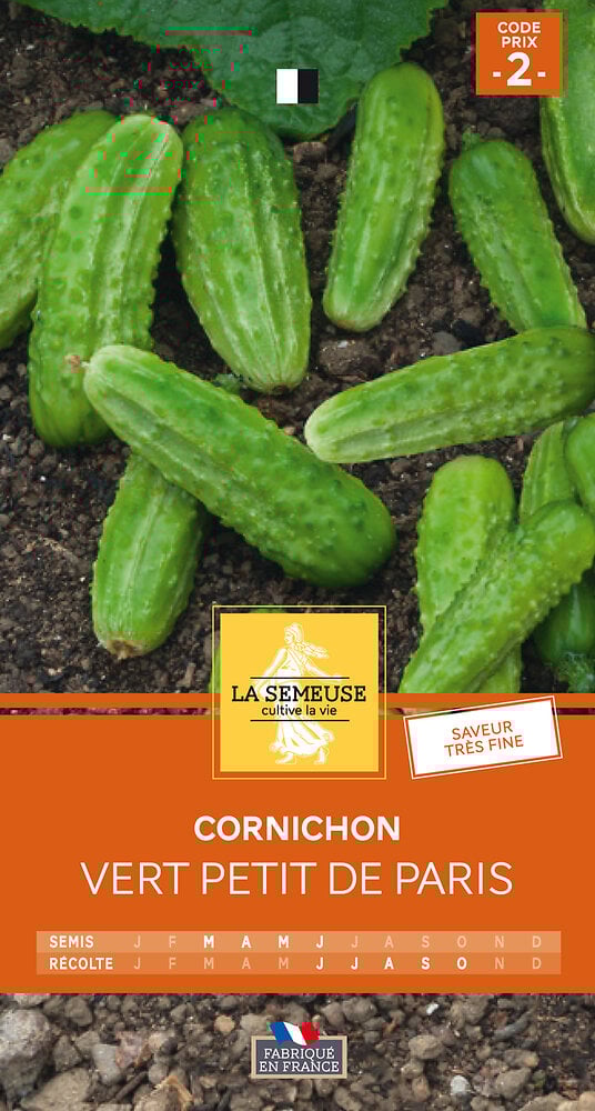 Cornichon vert petit de Paris Bricorama
