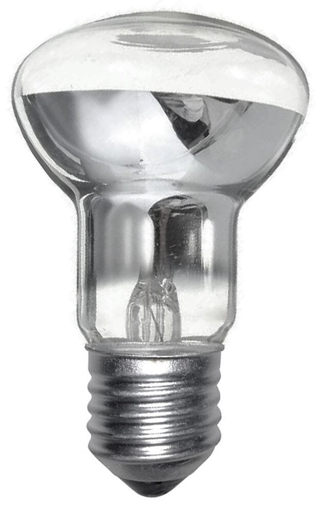 Ampoule Halogène Hotte G4 20W - Pièces détachées et Accessoires 
