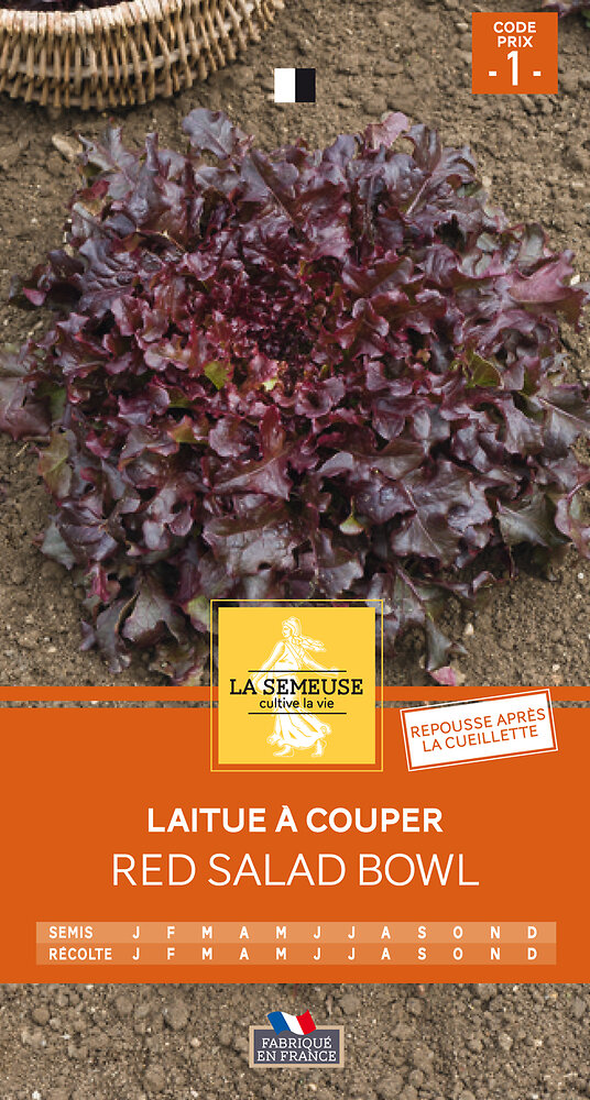 LA SEMEUSE - Laitue red salad bowl - large