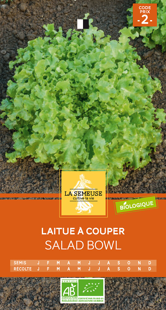 LA SEMEUSE - Laitue salad bowl bio - large