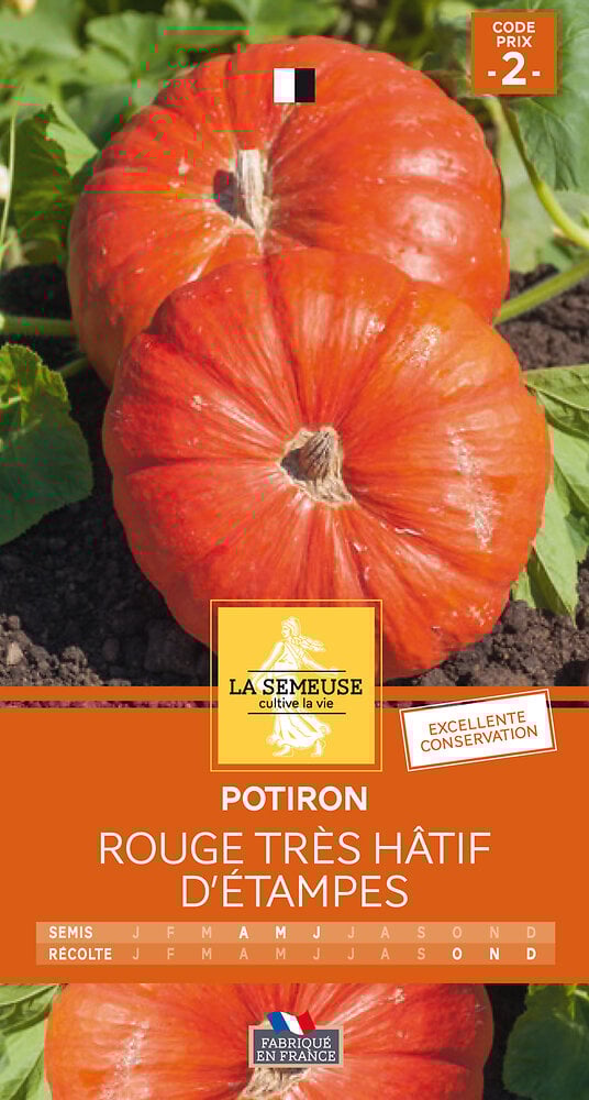 Potiron rouge hâtif d'Etampes | Bricomarché