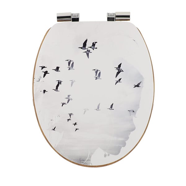 Toilette Centrakor Abattant Wc Cuvette Wc Centrakor Abattant Wc