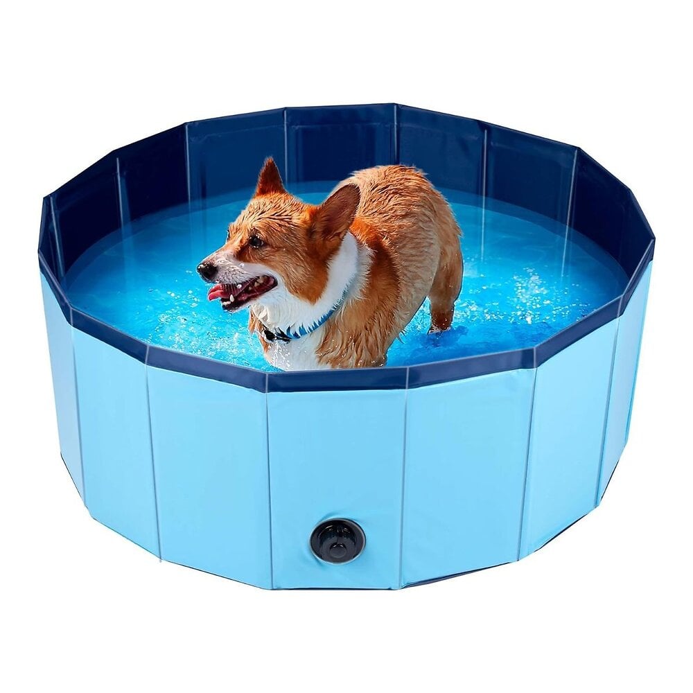 piscine pour chien ø 80 x 30 cm résistante antidérapante pvc pataugeoire baignoire pliable animaux jardin terrasse kz garden