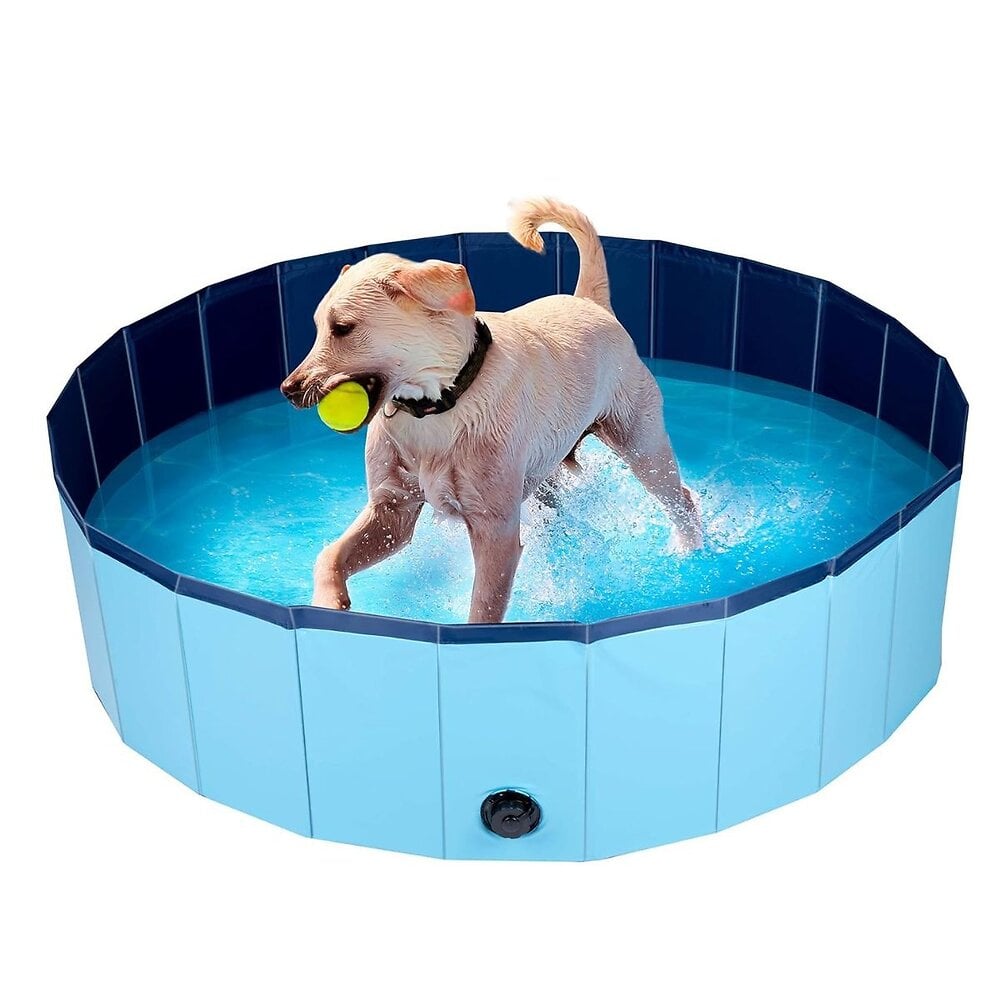 piscine pour chien pvc sol antidérapant jeu d'eau pour animaux baignoire pliable pataugeoire 120x30 cm kz garden