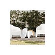 TOOMAX - Table basse de jardin 59x 39x 36cm Blanche Avec couvercle Extérieur / Intérieur TOOMAX - vignette