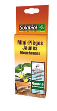 Mini-pièges jaunes - moucherons 